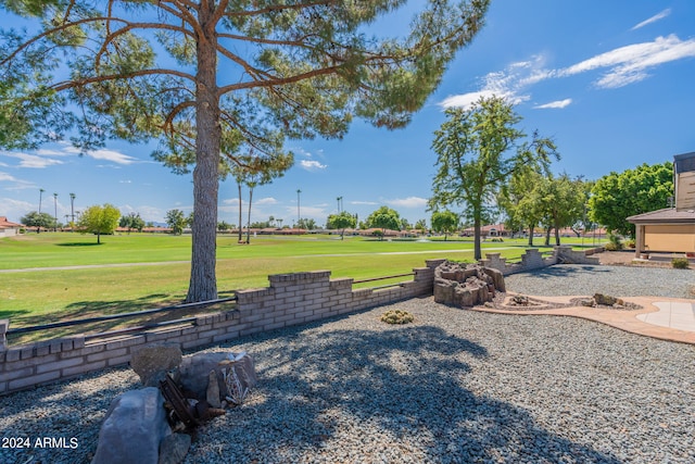 view of yard featuring a patio