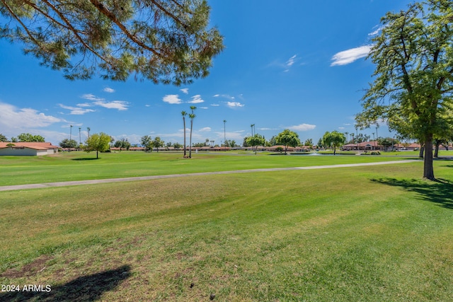 view of community featuring a lawn