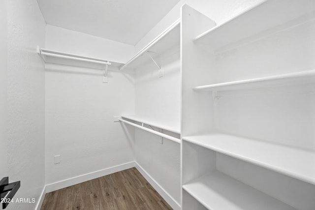 walk in closet featuring dark wood-type flooring