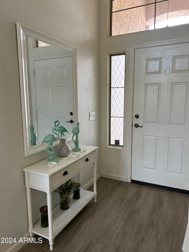 foyer entrance featuring dark hardwood / wood-style floors