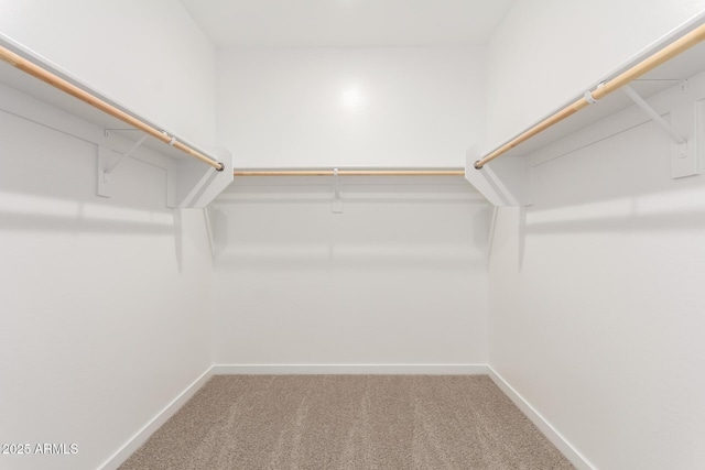 spacious closet with carpet floors