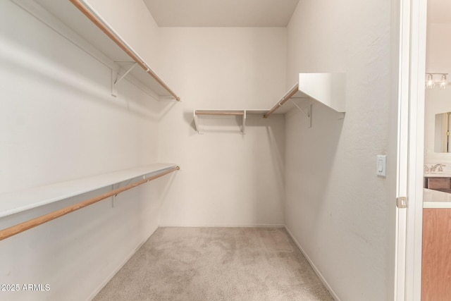 2600 E Hazeltine Way, Chandler, AZ 85249 - spacious closet featuring light carpet and a sink