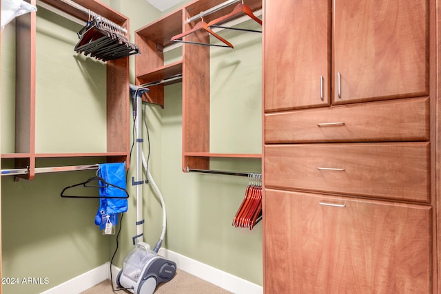 spacious closet with carpet flooring