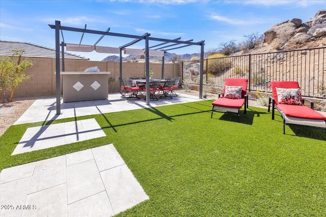 view of yard featuring a patio area, exterior kitchen, and a fenced backyard