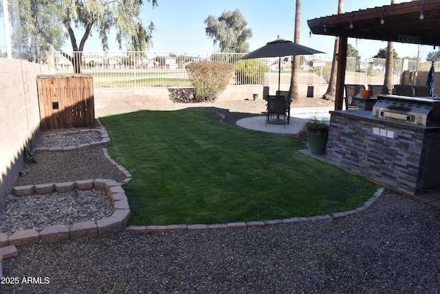 view of yard with a patio, area for grilling, and a fenced backyard