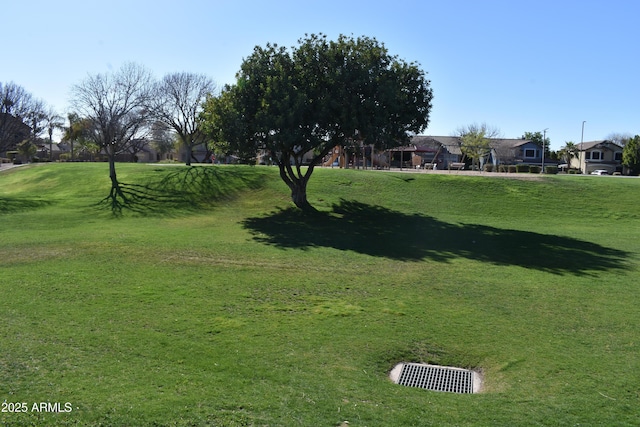 view of home's community with a yard