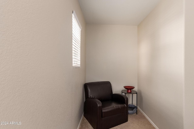 sitting room featuring carpet floors