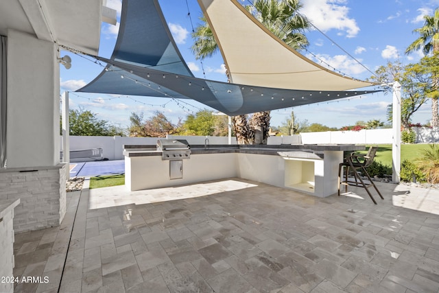 view of patio / terrace featuring area for grilling