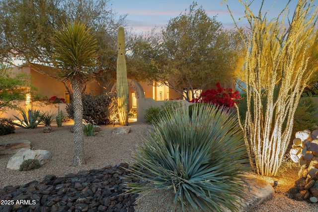 view of yard at dusk
