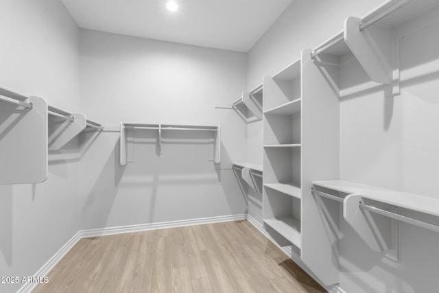 spacious closet featuring light hardwood / wood-style floors