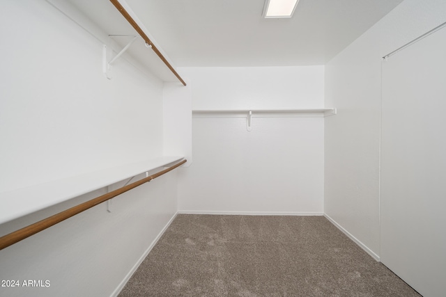 walk in closet with carpet flooring