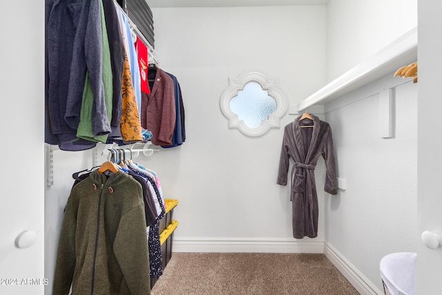 walk in closet with carpet