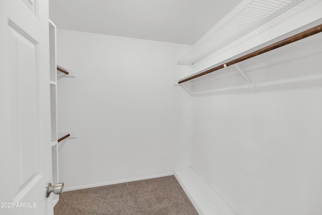 8666 E Cheryl Dr, Scottsdale, AZ 85258 - spacious closet with carpet flooring