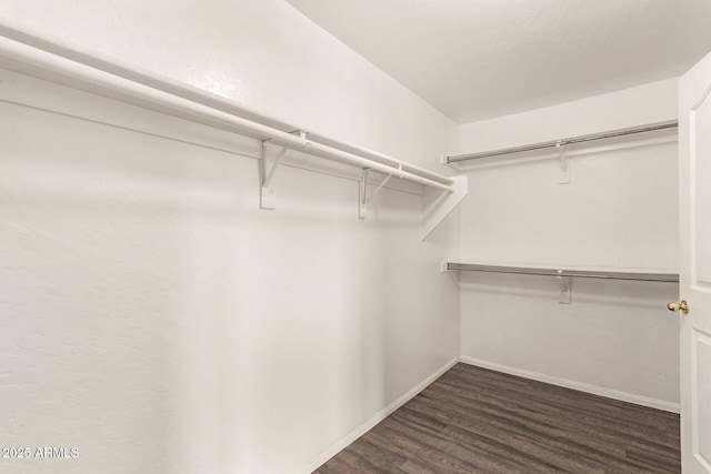 walk in closet featuring dark wood-type flooring