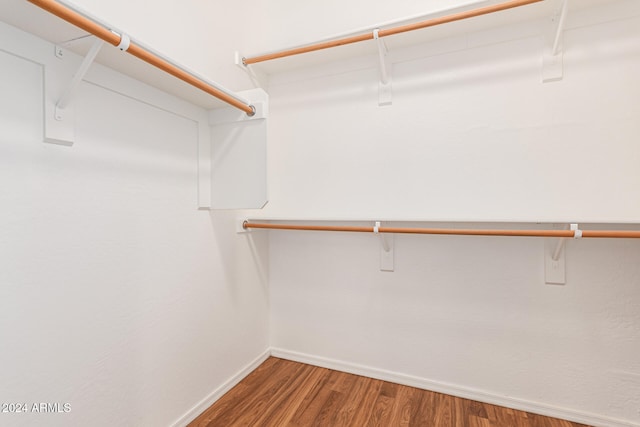 walk in closet with hardwood / wood-style flooring