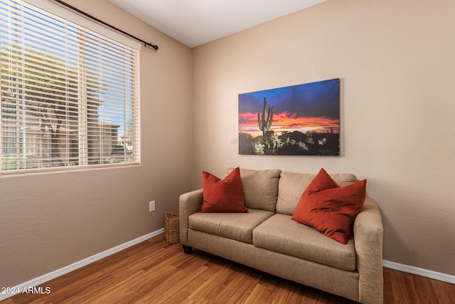 living room with hardwood / wood-style flooring and plenty of natural light