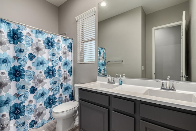 bathroom with toilet and vanity