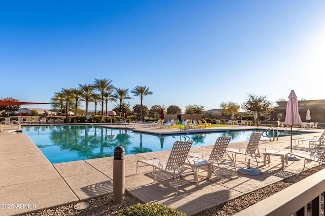 view of swimming pool featuring a patio