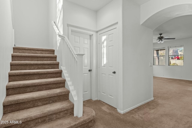 entrance foyer with ceiling fan and carpet flooring