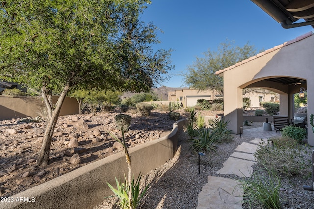 view of yard with a patio