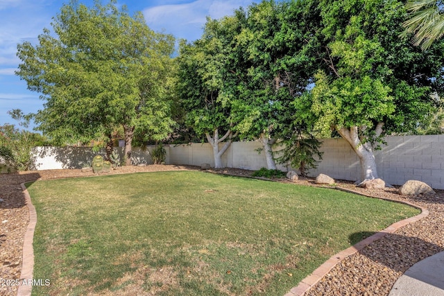 9821 E Windrose Dr, Scottsdale, AZ 85260 - fenced backyard featuring a garage