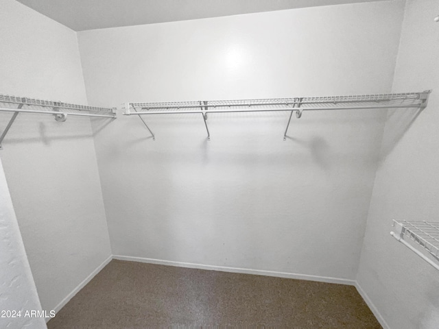 spacious closet with carpet