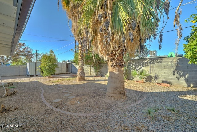 view of yard featuring a storage shed