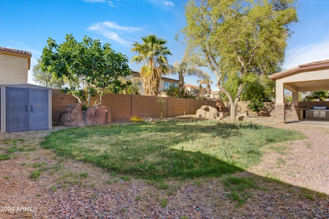 view of yard featuring a storage unit