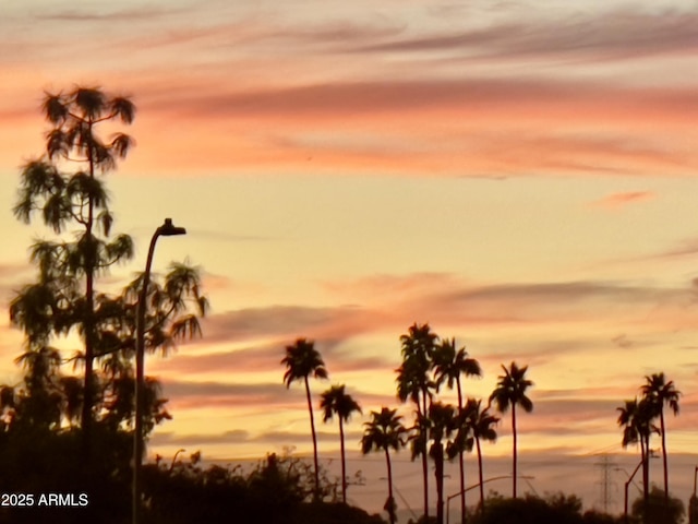 425 S Parkcrest Unit 323, Mesa, AZ 85206 - water view