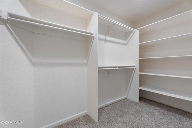 walk in closet with carpet