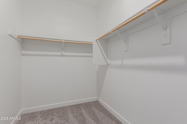 9412 E Sequence Ave, Mesa, AZ 85212 - walk in closet featuring carpet