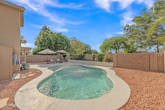 308 E Sheffield Ct, Gilbert, AZ 85296 - view of pool with a fenced backyard and a patio