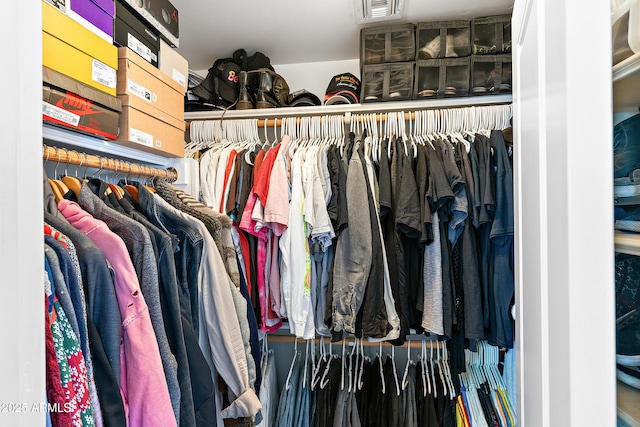 view of walk in closet