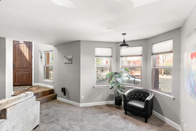 sitting room with baseboards and carpet