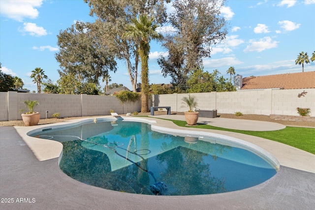 view of pool featuring a patio