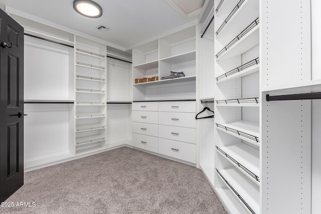 spacious closet featuring light carpet