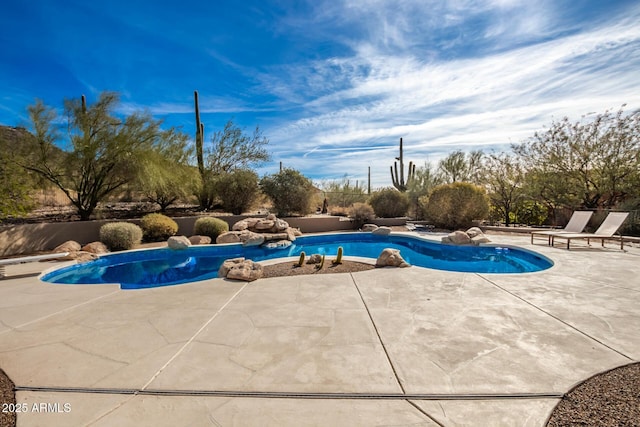 view of pool with a patio area and a diving board