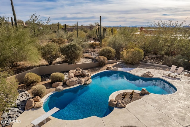 view of pool with a patio and a diving board