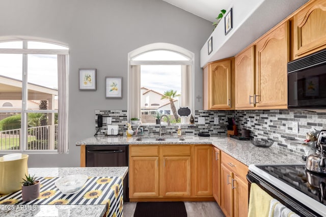 7460 E Kiowa Ave, Mesa, AZ 85209 - kitchen with a sink, black appliances, light stone counters, tasteful backsplash, and healthy amount of natural light