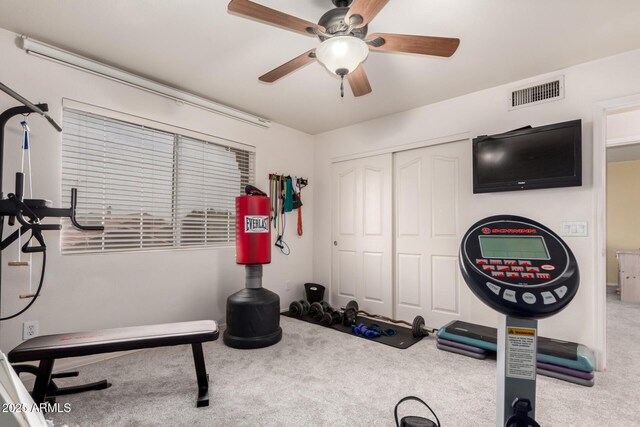 7460 E Kiowa Ave, Mesa, AZ 85209 - exercise area with carpet floors and a ceiling fan