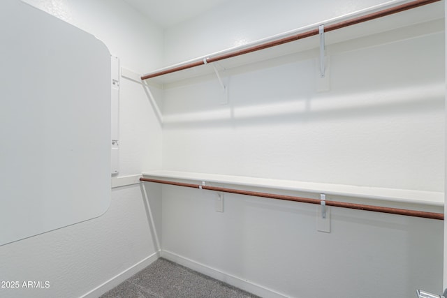 2929 E Mohave Ln, Apache Junction, AZ 85119 - walk in closet featuring carpet flooring