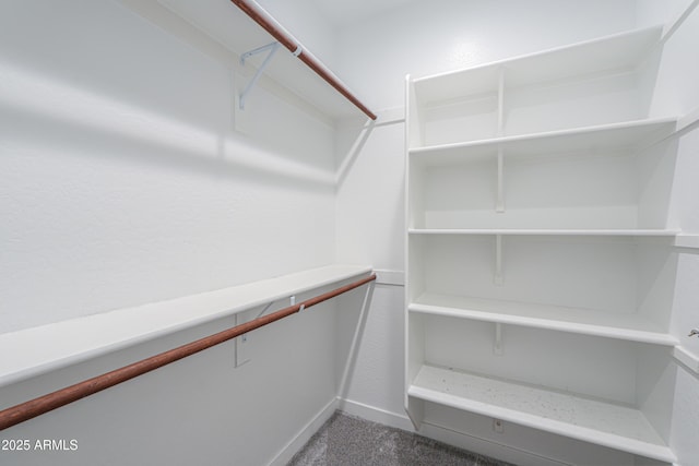 2929 E Mohave Ln, Apache Junction, AZ 85119 - spacious closet featuring carpet flooring