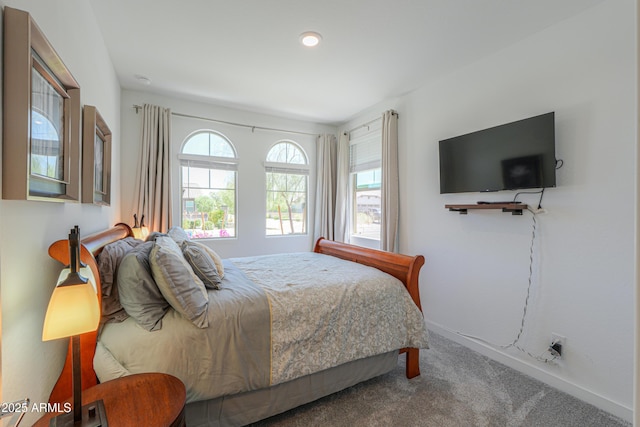 2929 E Mohave Ln, Apache Junction, AZ 85119 - bedroom with carpet floors and baseboards