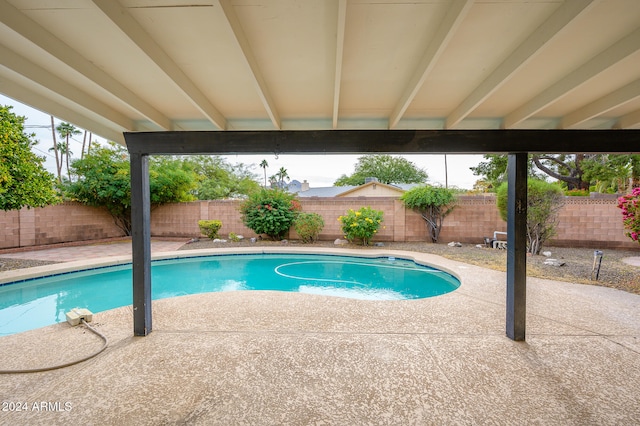 view of pool featuring a patio