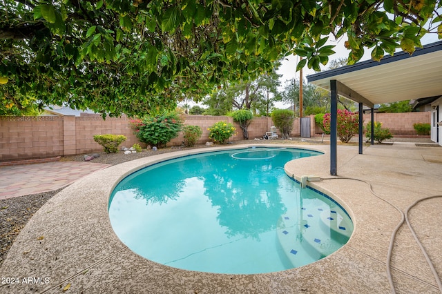 view of swimming pool featuring a patio