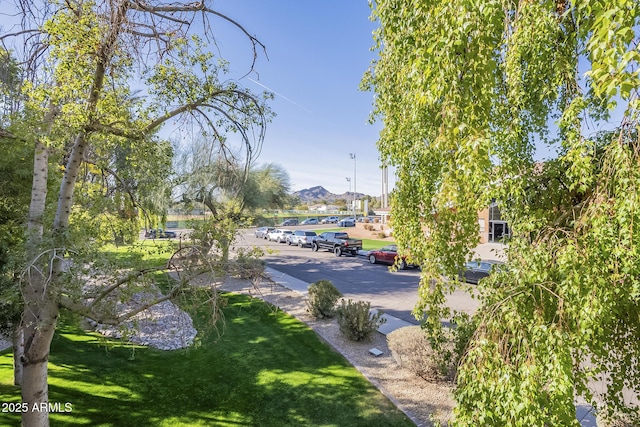 6885 E Cochise Rd Unit 219, Paradise Valley, AZ 85253 - surrounding community with a lawn