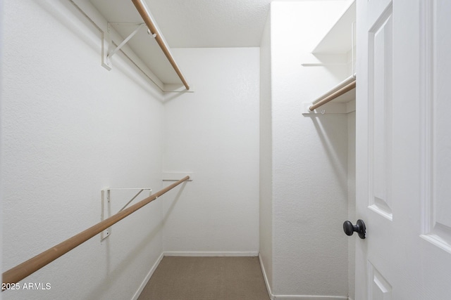 6885 E Cochise Rd Unit 219, Paradise Valley, AZ 85253 - walk in closet featuring carpet