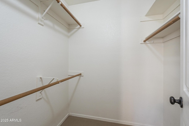 6885 E Cochise Rd Unit 219, Paradise Valley, AZ 85253 - spacious closet featuring carpet floors