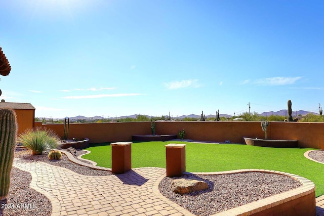 view of yard featuring a patio