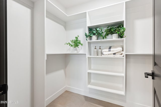 view of spacious closet